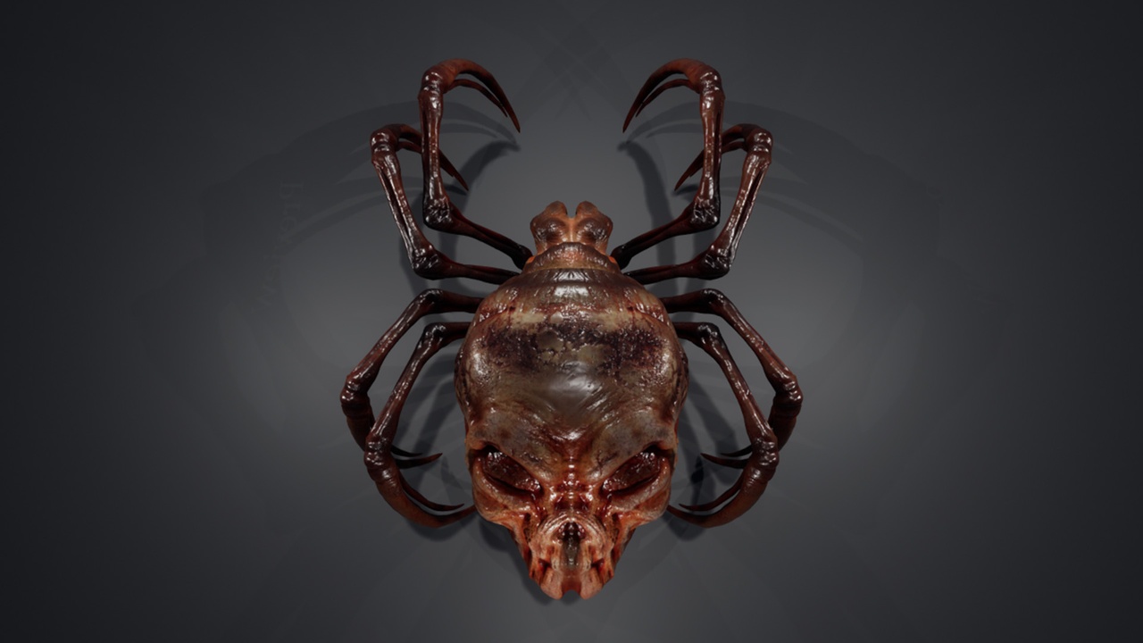 Media 1 for listing Spider Skeleton
