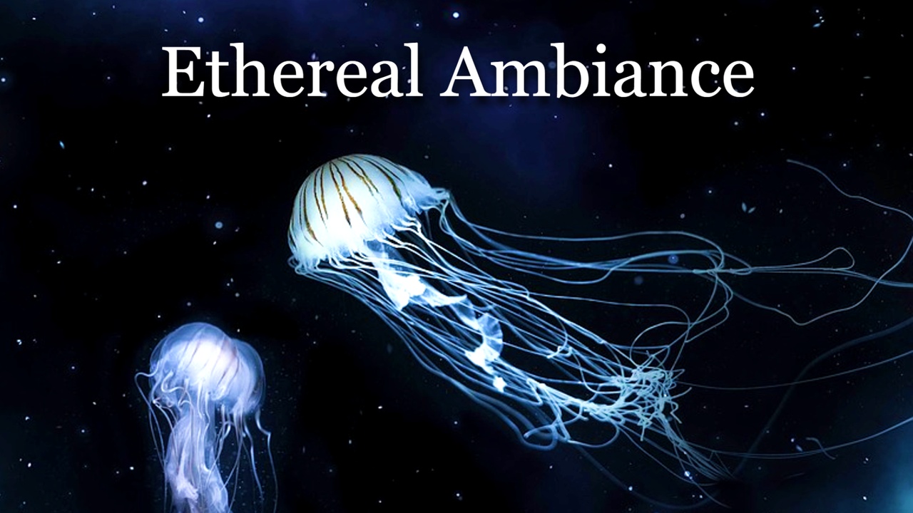 Media 1 for listing Ethereal Ambiance Music Pack