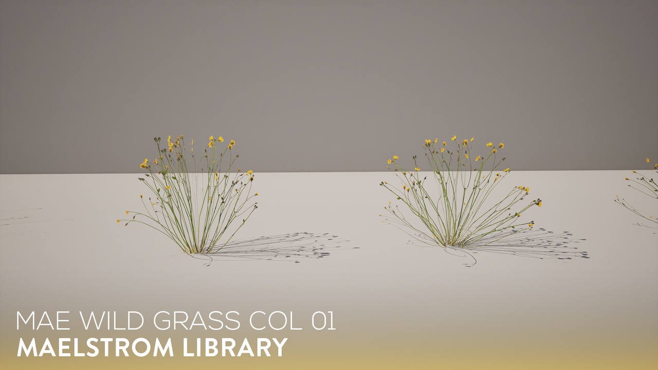 Media 1 for listing MAE Wild Grass Collection 01