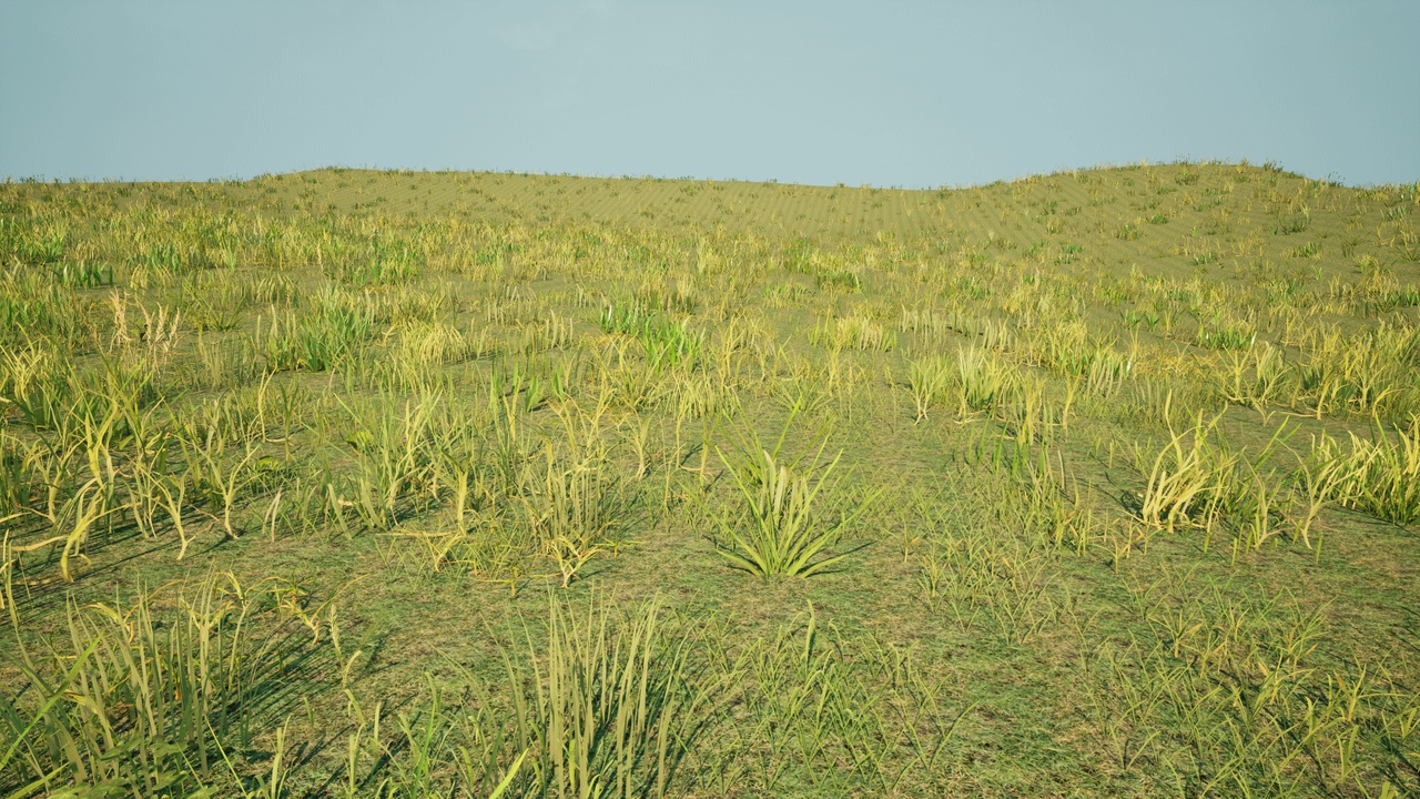 Media 1 for listing GoGrass – Realistic Grass [Vegetation Series]