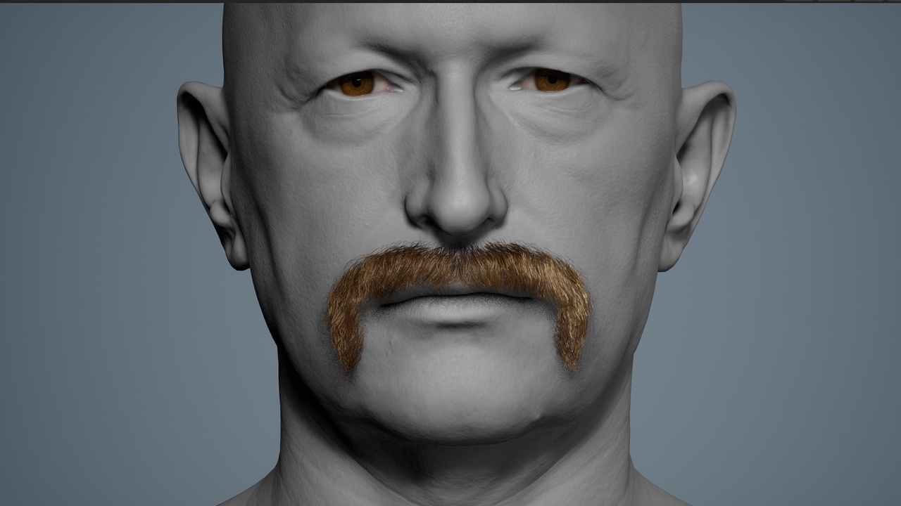 Media 1 for listing Walrus Mustache 02 - MetaHuman Mustache Groom