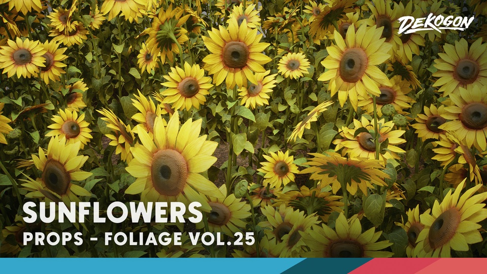 Sunflowers Garden風になりたい Sunflowers Garden風になりたい