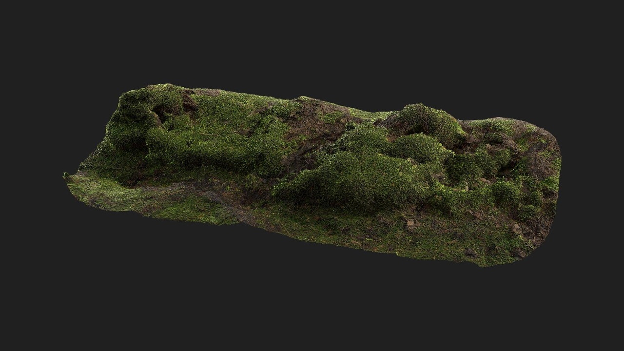 Media 1 for listing Mossy Embankment