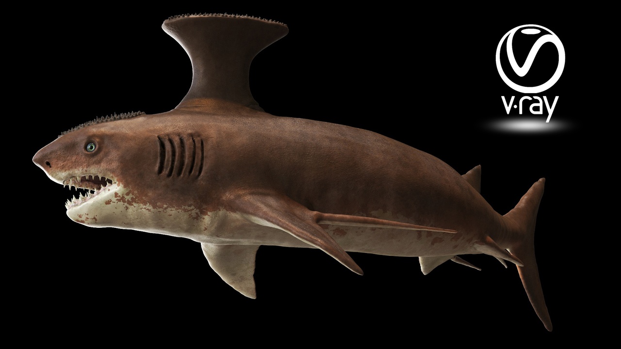 商品 Stethacanthus - Prehistoric Shark 的媒体 1