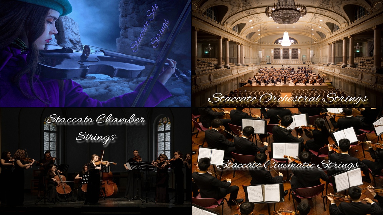 Media 1 for listing Staccato Strings Full Bundle