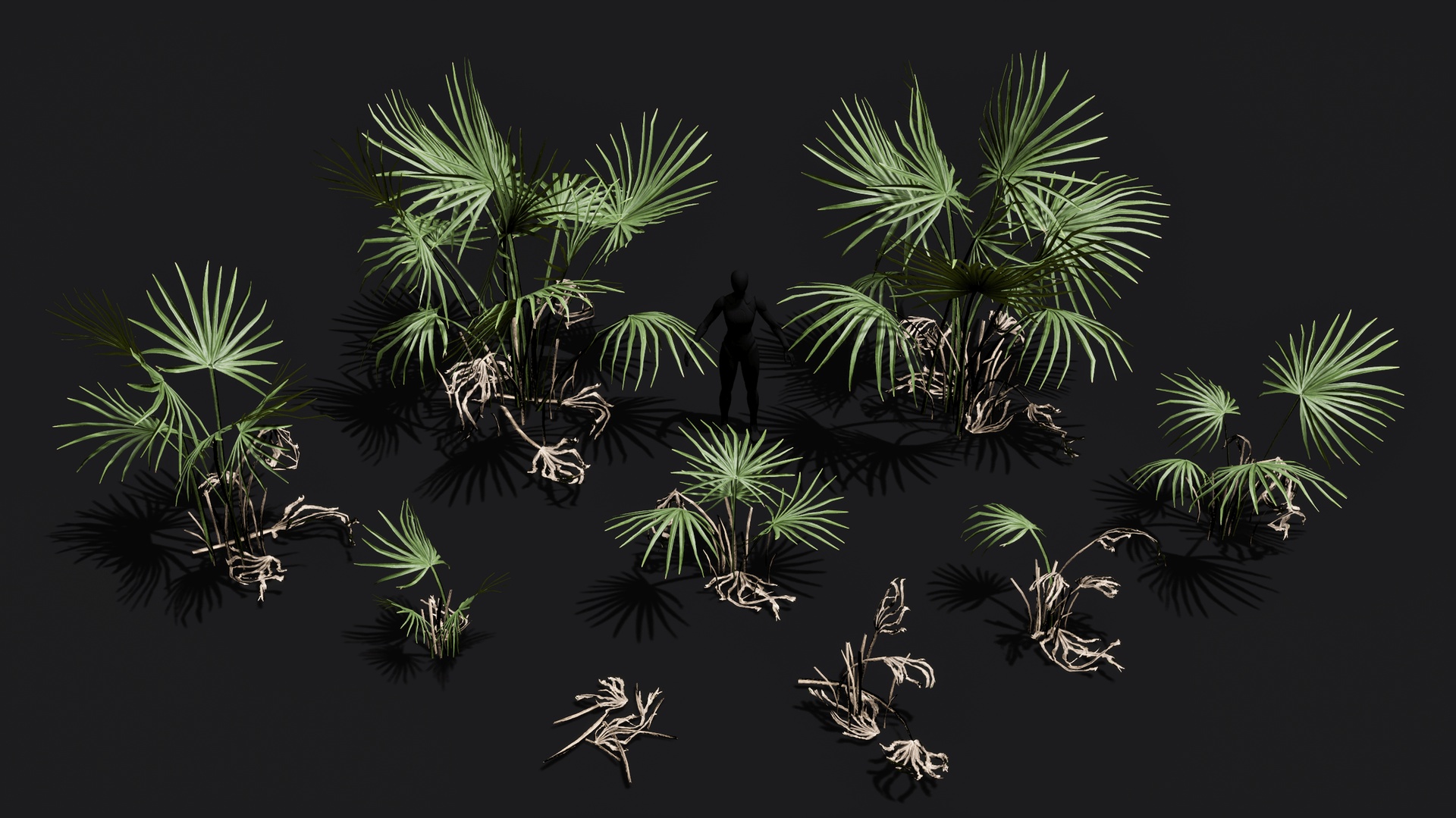 Media 1 for listing Dwarf Palmettos (Sabal Minor) game ready low poly set