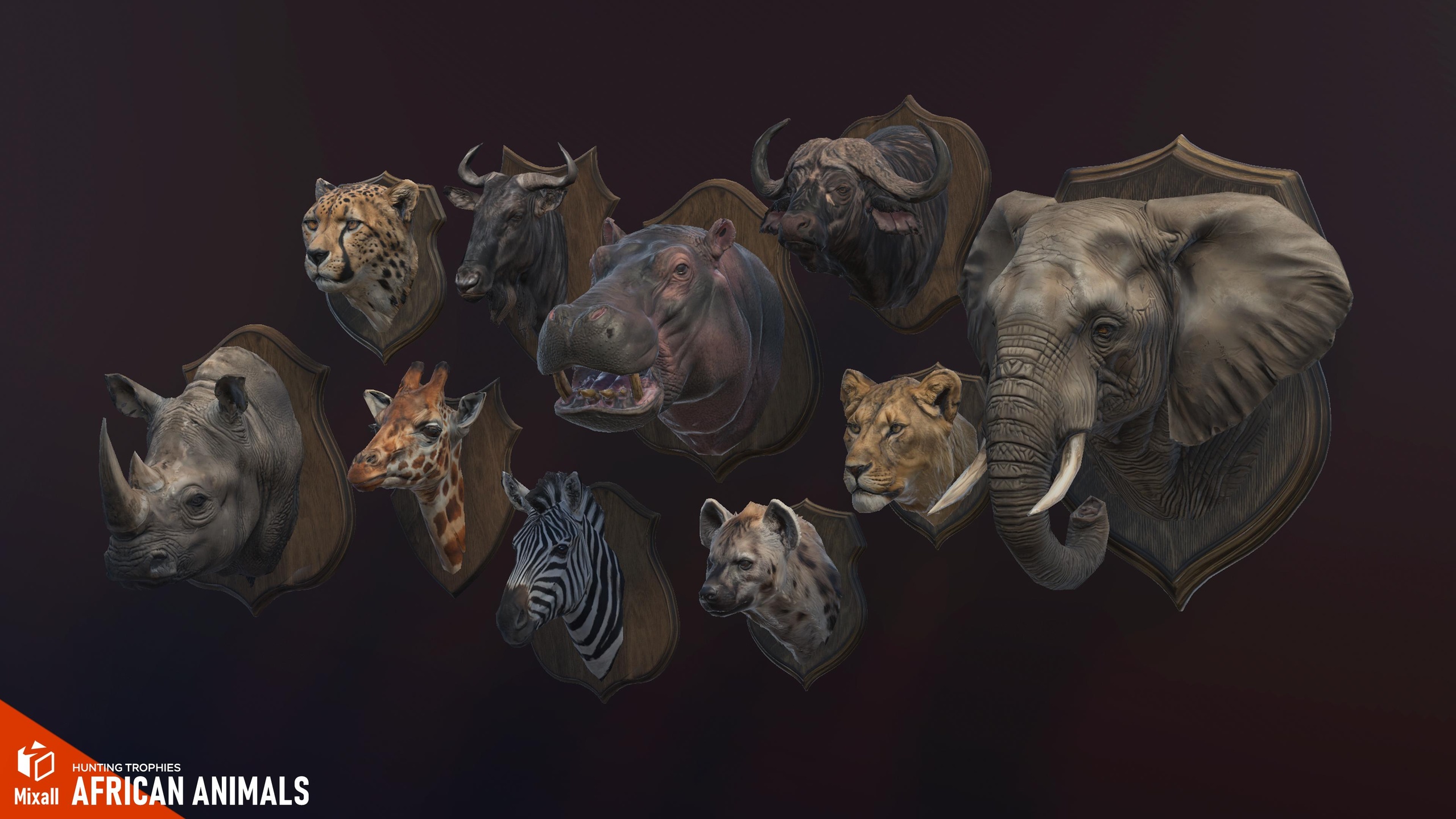 Media 1 for listing African animals – Hunting trophies