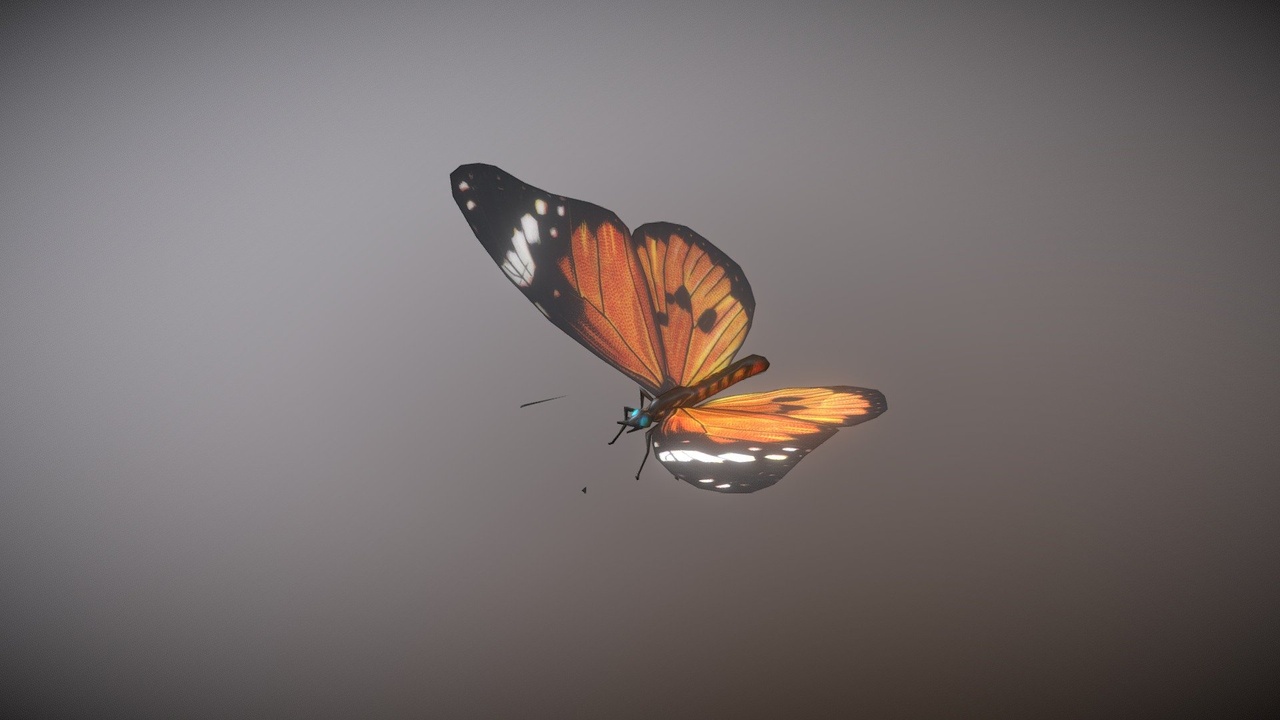 Media 1 for listing Animated Butterfly | Animated 3D Model