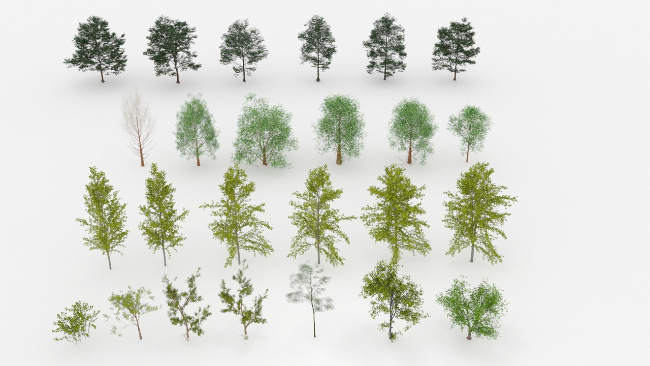 Media 1 for listing Asian Deciduous Street‑Tree  3D Model NO.1
