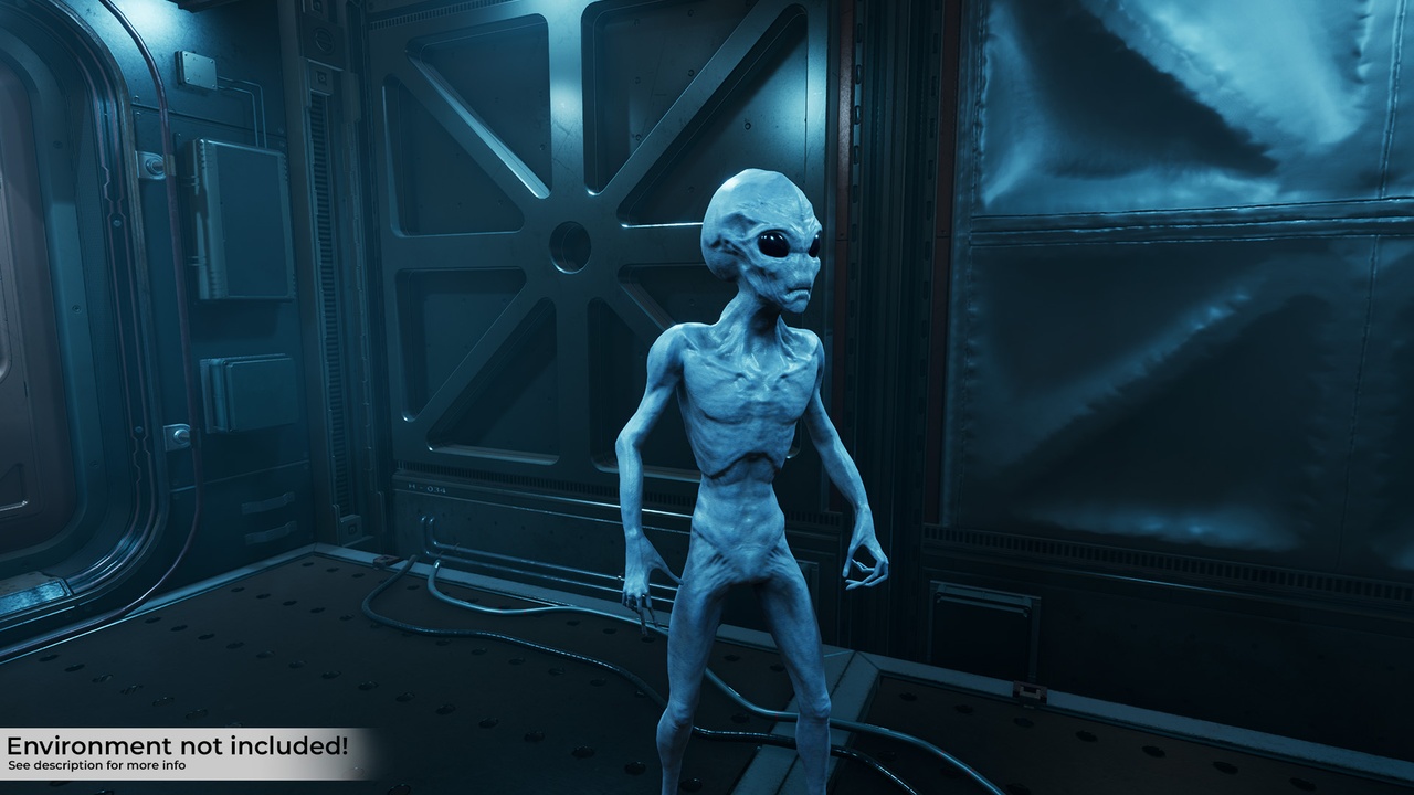 Media 1 for listing Grey Alien and Sci fi Weapons
