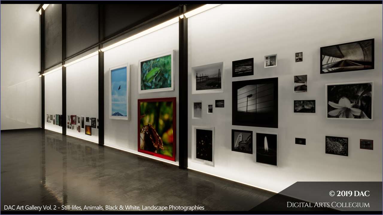 Media 1 for listing Professional Photography - Vol. 02