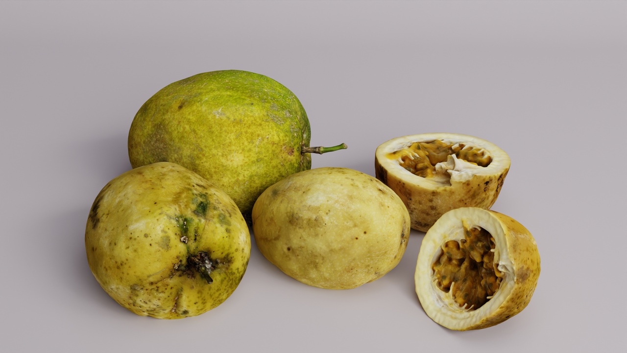 Media 1 for listing Passion Fruit Scan Pack