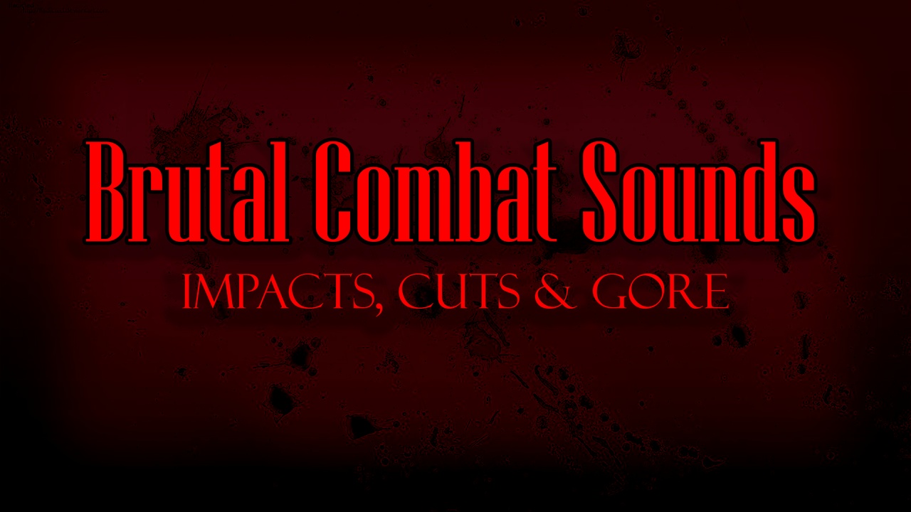 Brutal Combat Sounds | Fab