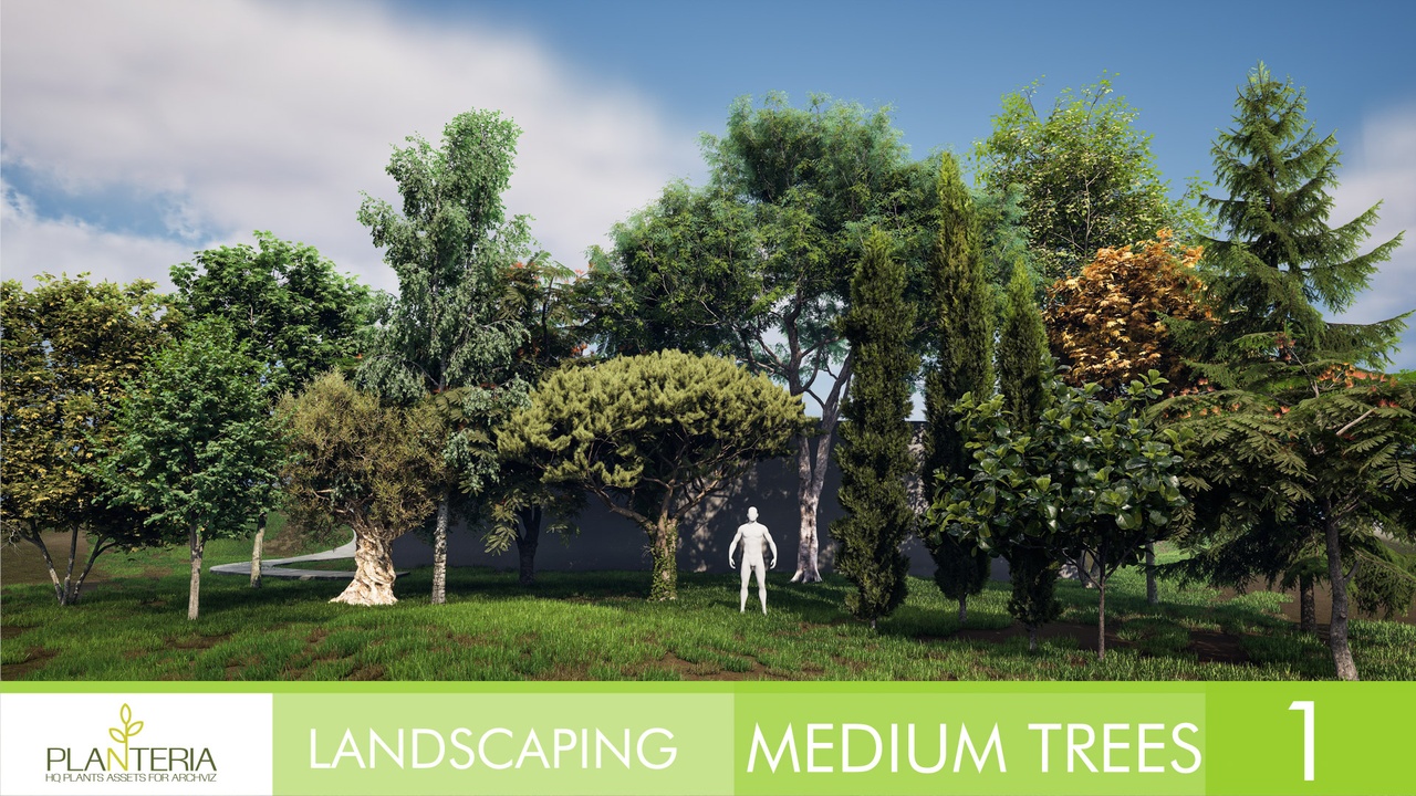 Media 1 for listing Landscaping Medium Trees Vol. 1