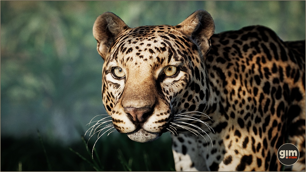 Media 1 for listing Animalia - Leopard (male)