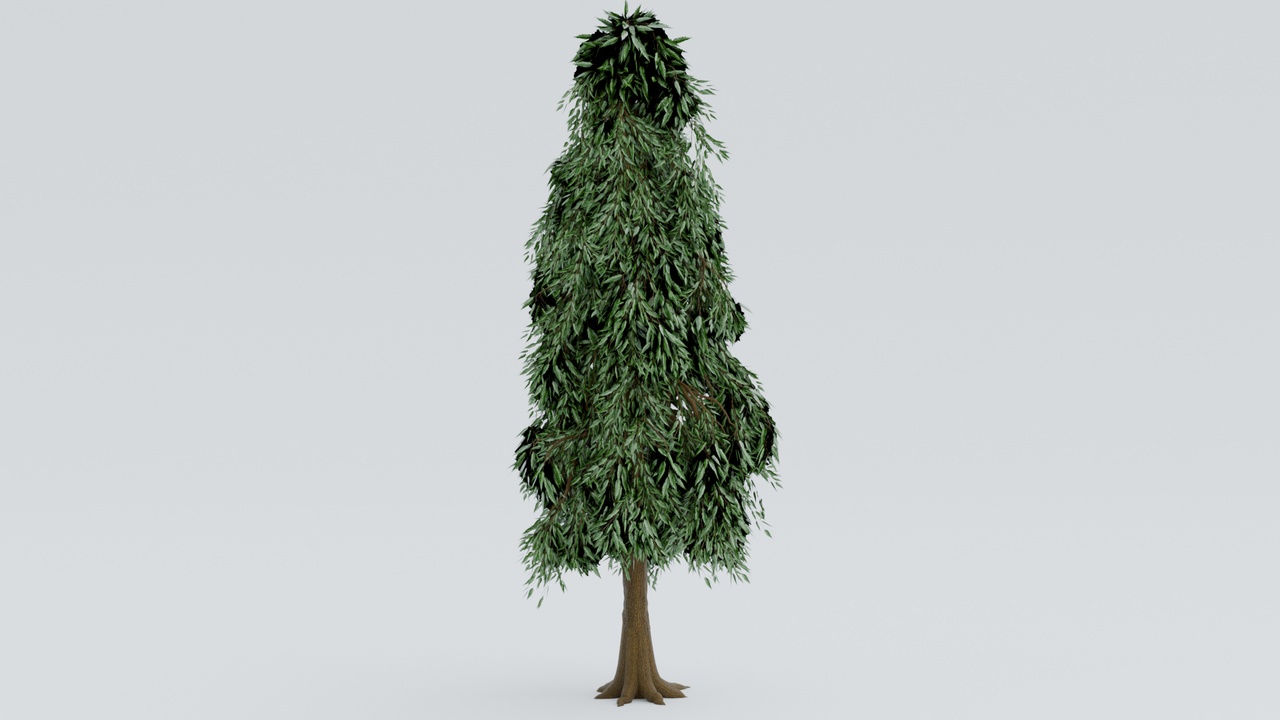 Media 1 for listing Realistic Ashoka Tree 3D Model | Polyalthia Longifolia