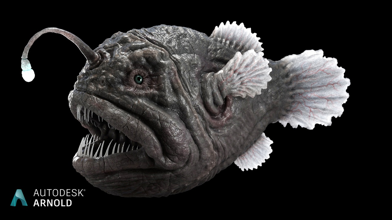 Media 1 for listing Anglerfish