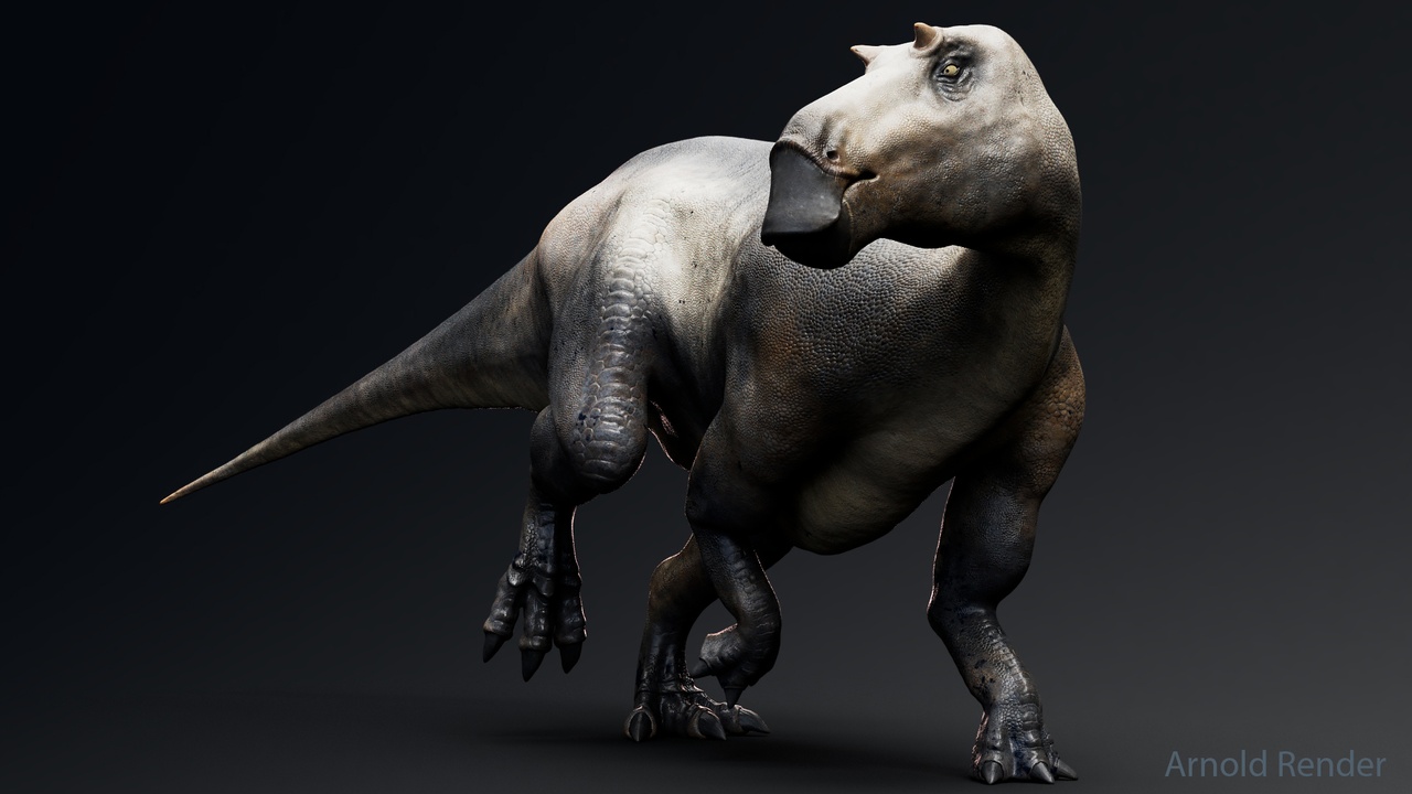 Maiasaura 제품 등록을 위한 미디어 1개