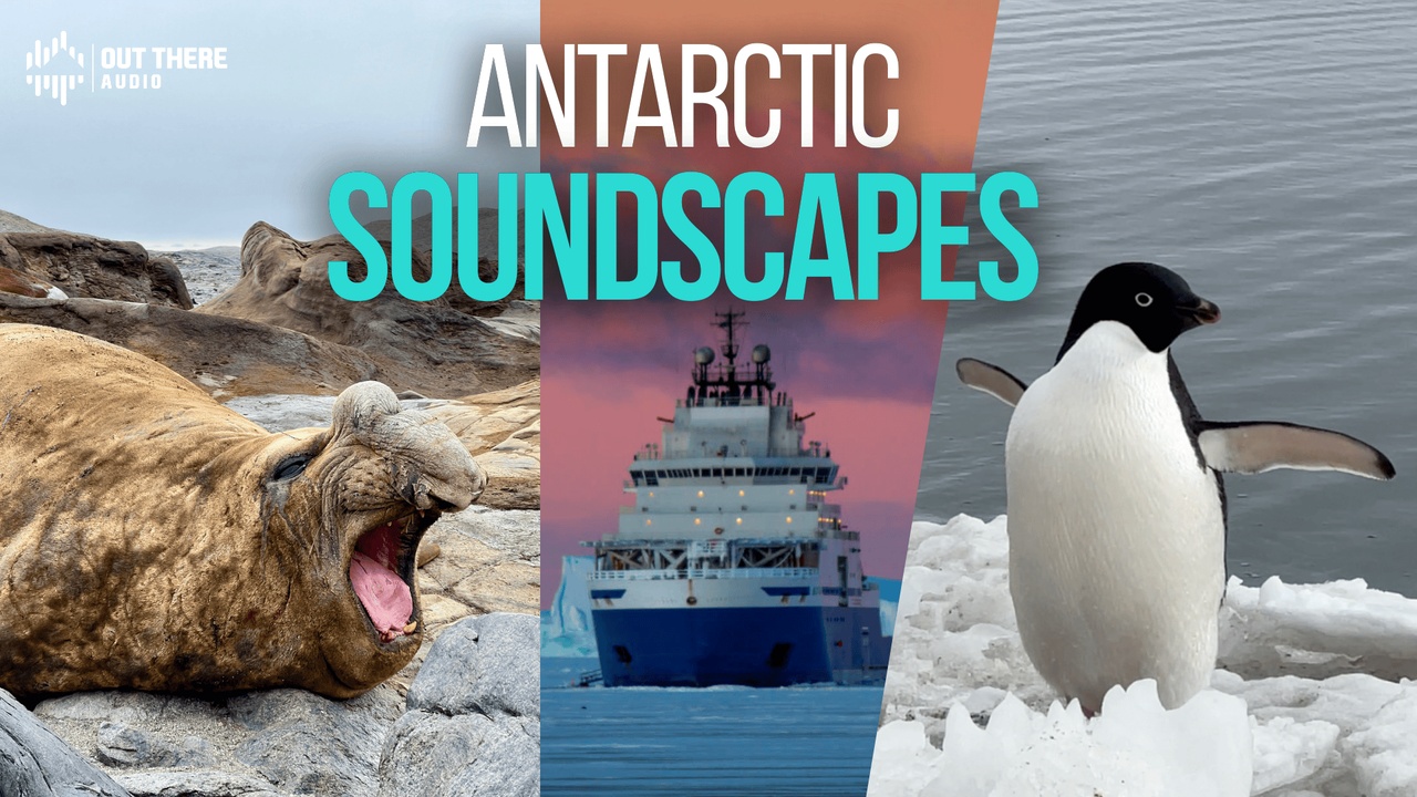 Media 1 for listing Antarctic Soundscapes