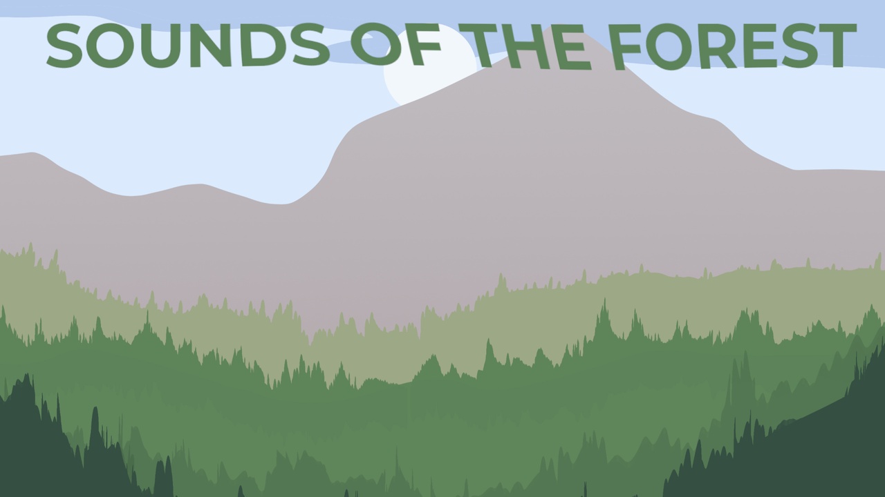 Media 1 for listing Sounds of the Forest (66 unique sounds from the forest)
