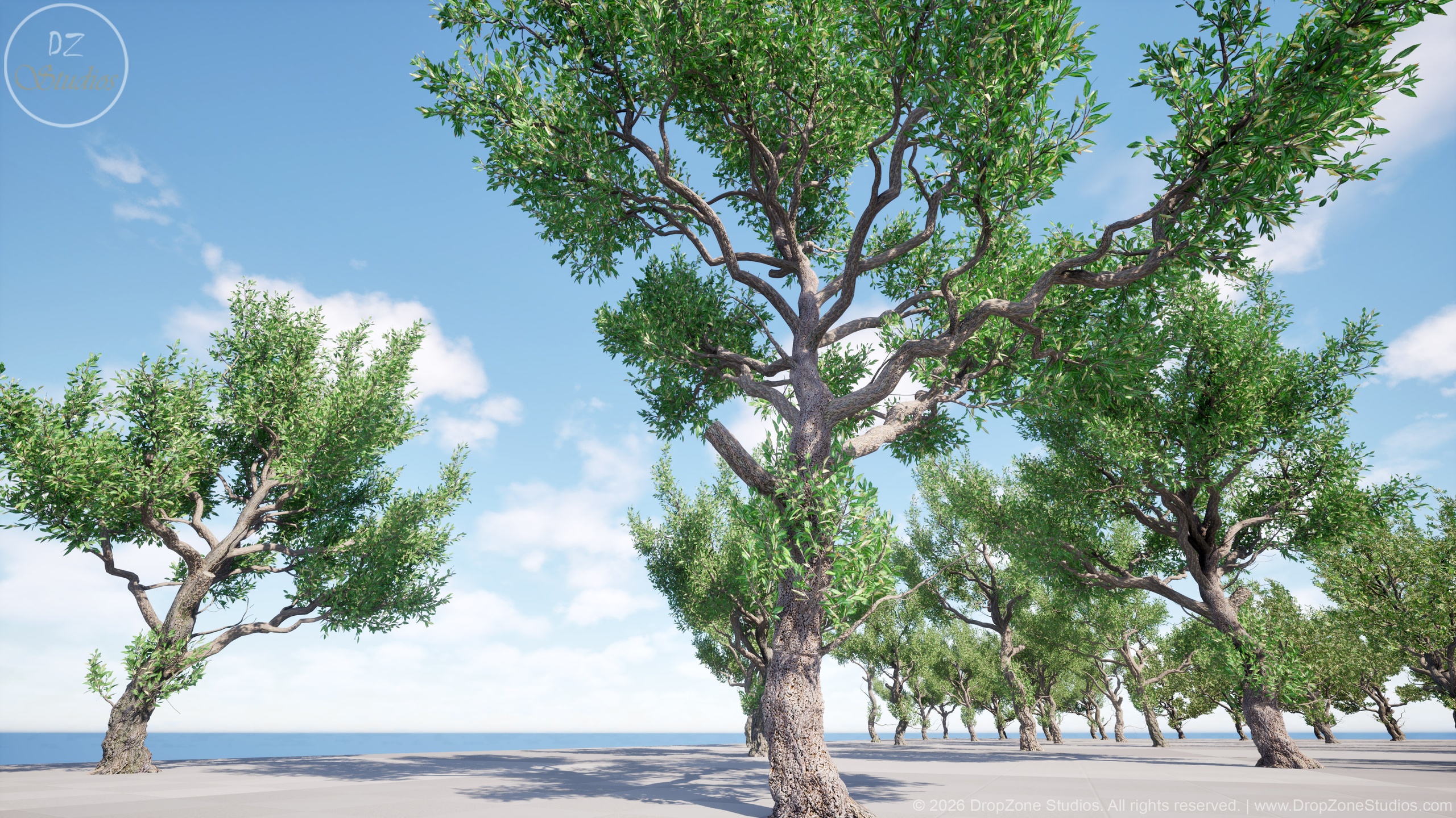 Media 1 for listing DZ Trees - Deciduous Trees 3 (Cork Oaks, Eucalyptus Trees and White Willows)
