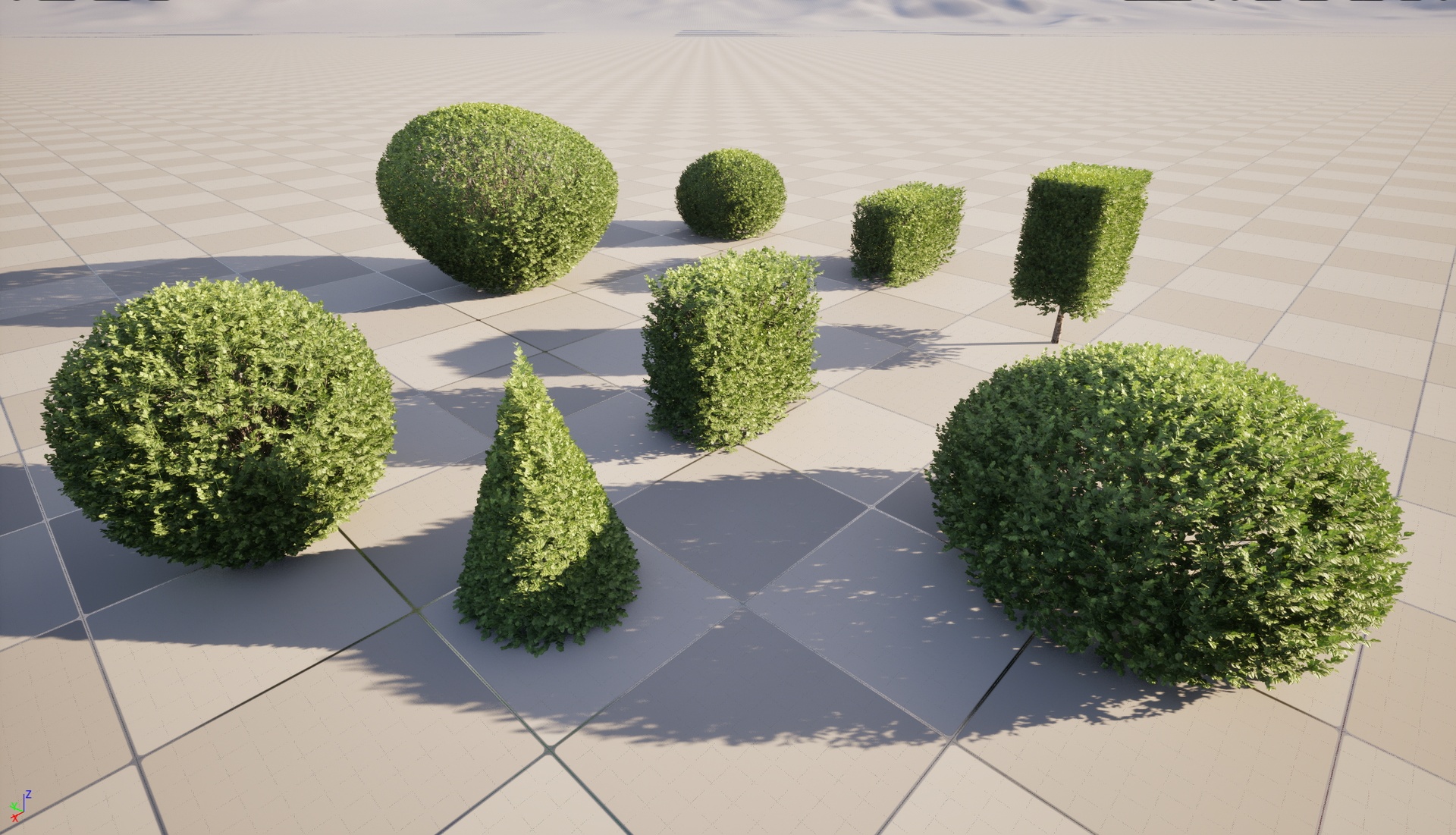 Media 1 for listing Nanite Plant Tree - Buxus sempervirens – Common boxwood