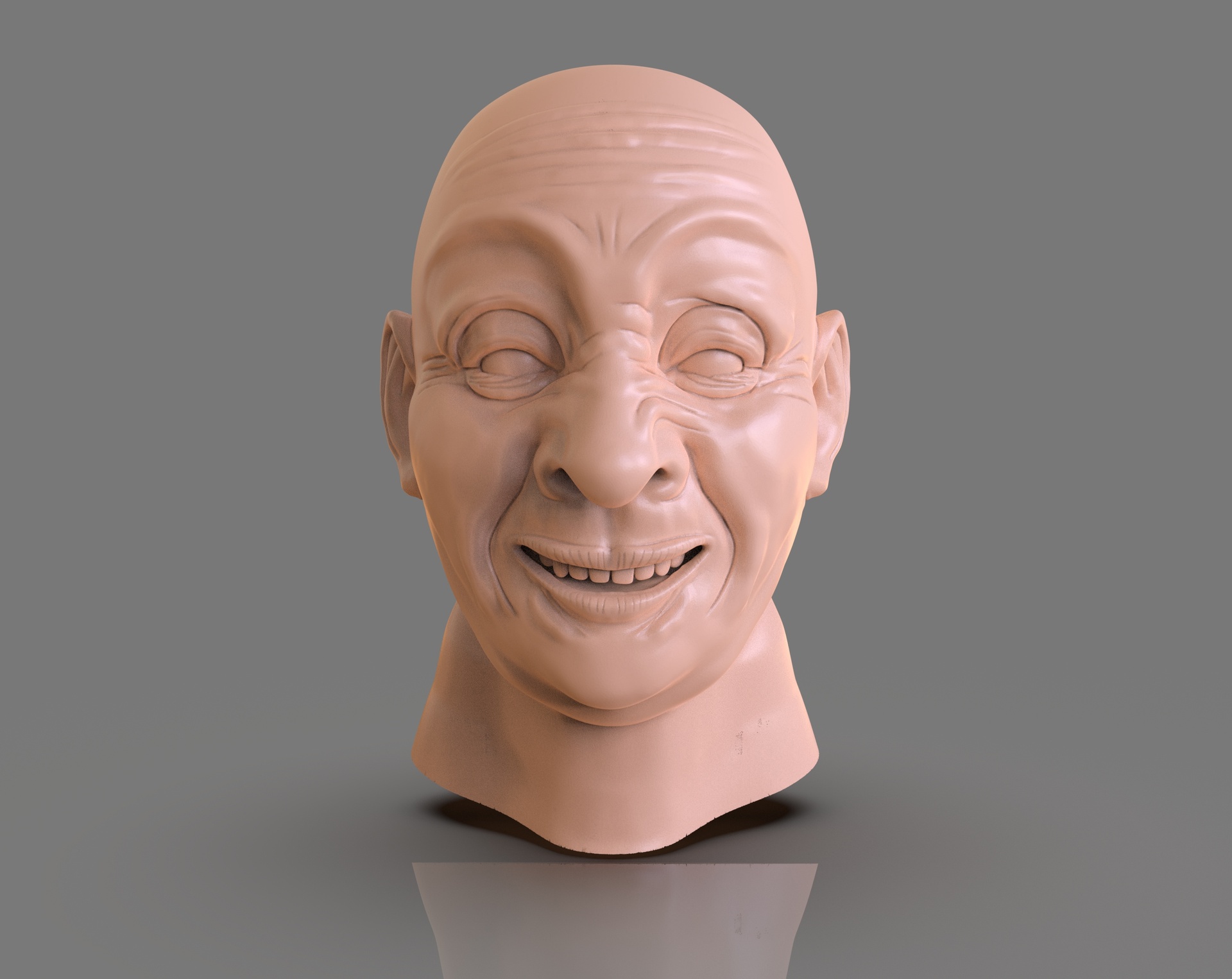 Media 1 for listing Pirate Head Mechatronic