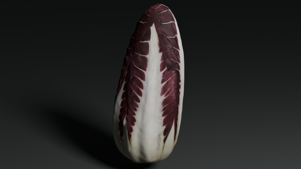 Media 1 for listing Radicchio