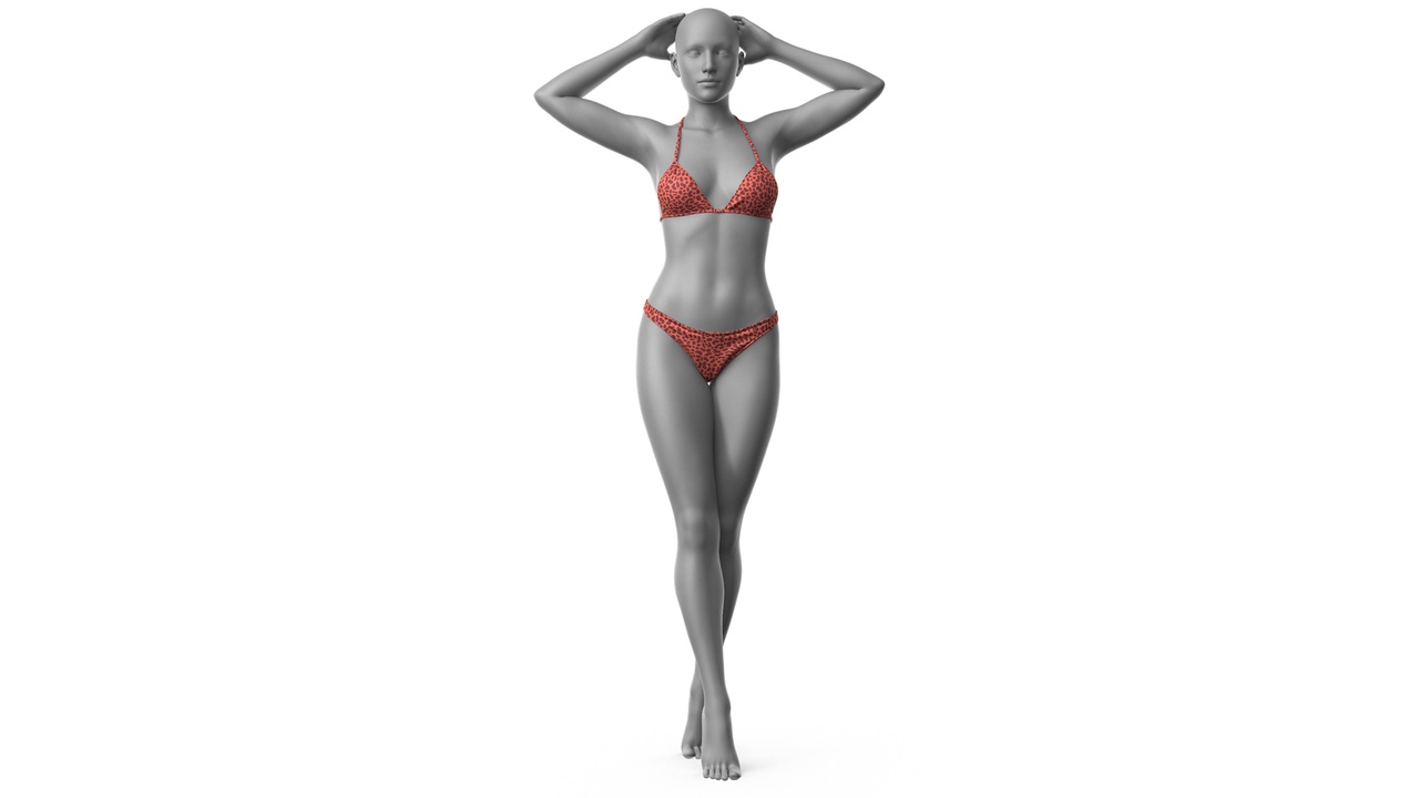 Media 1 for listing Bikini Swimsuit 3v