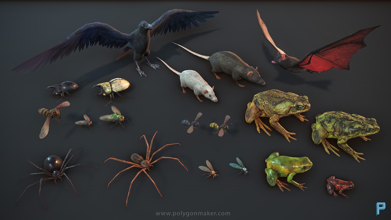 Media 1 for listing Wild Life - Random Beasts