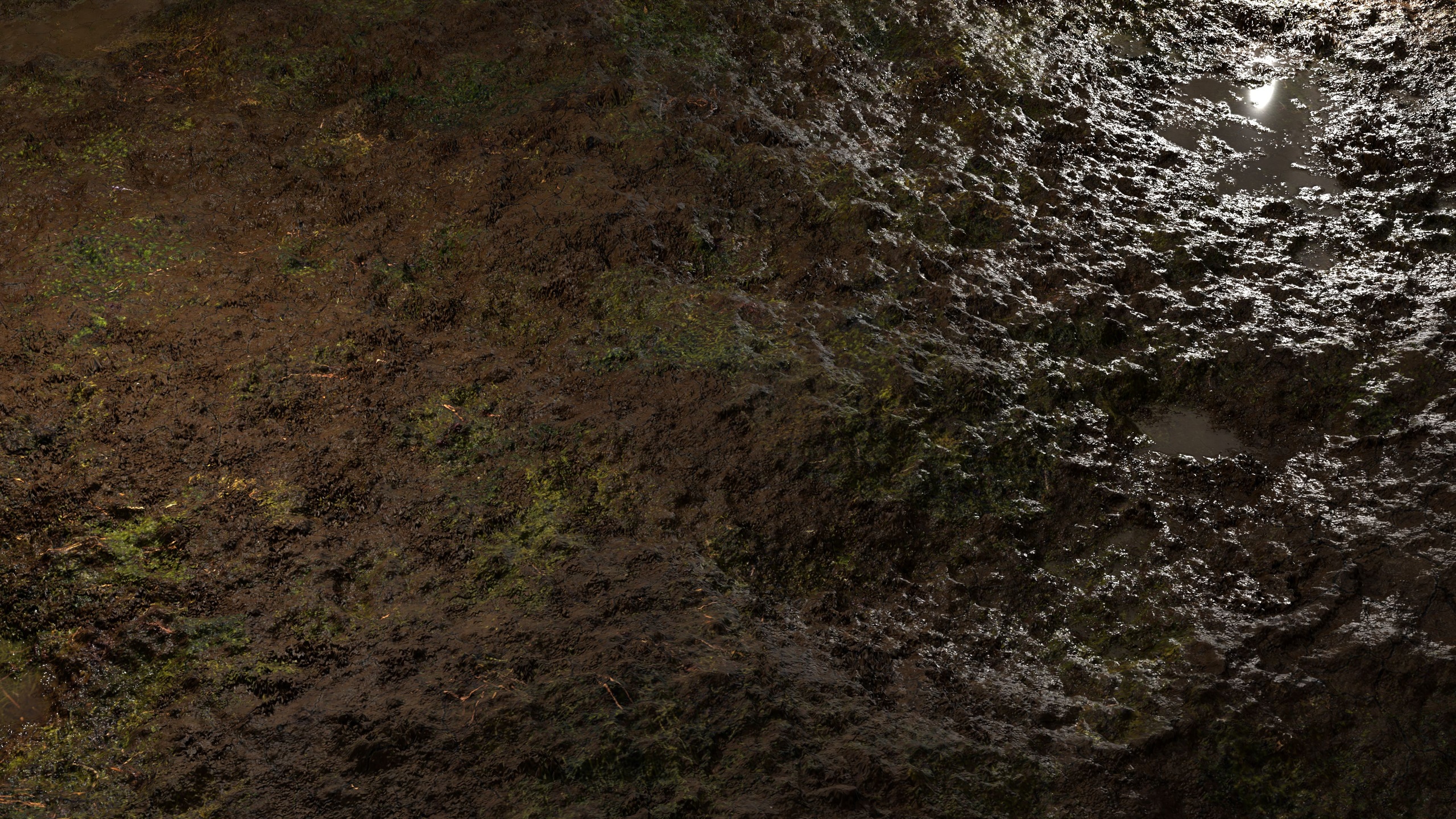 Media 1 for listing Marsh 8K PBR Texture