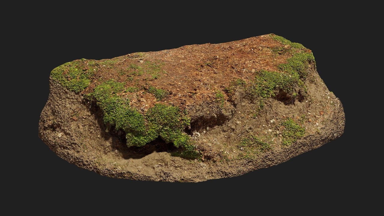 Media 1 for listing Forest European Broadleaf Embankment Riverbed M 03