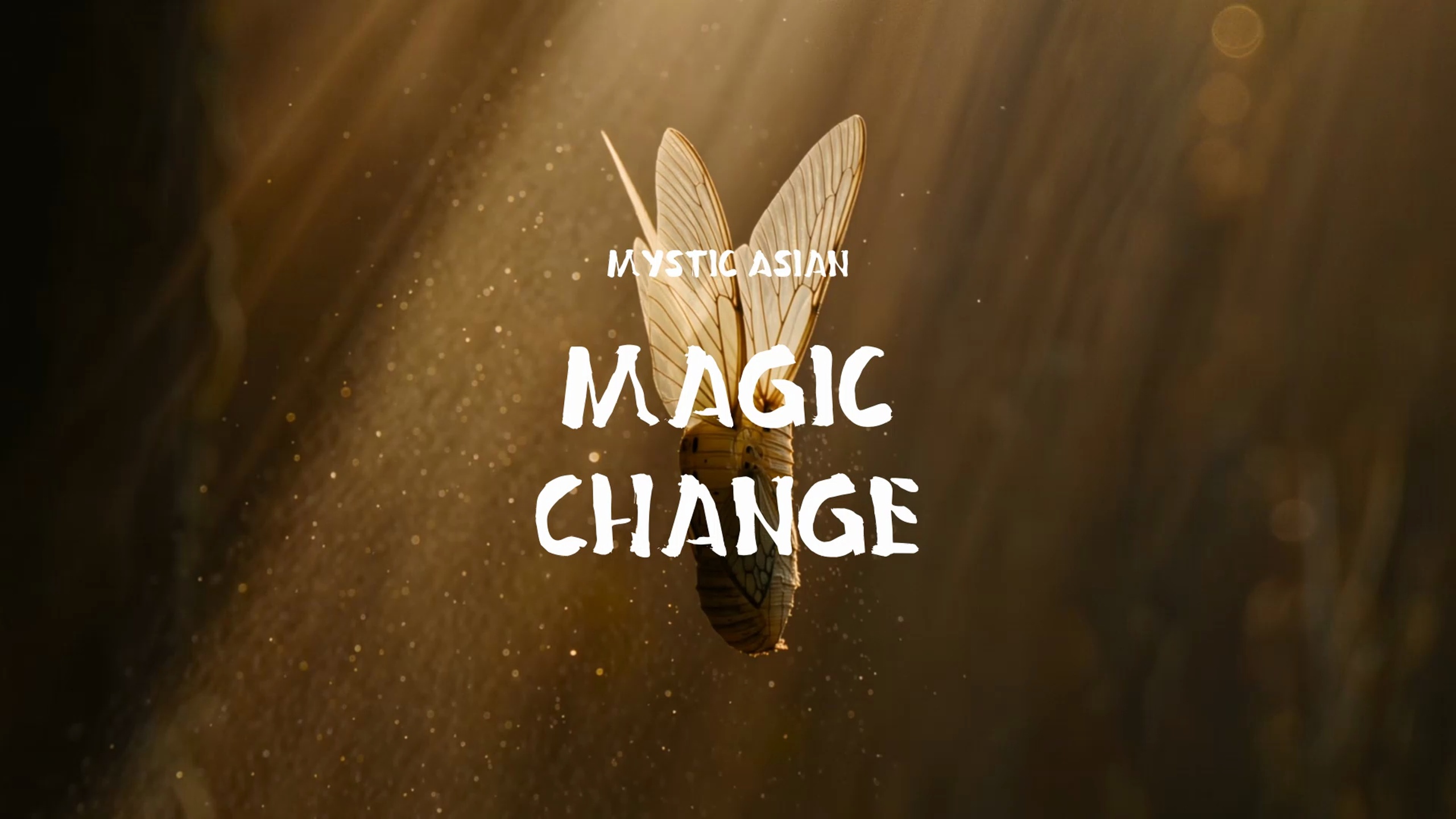 Media 1 for listing Magic Change / Mystic Asian