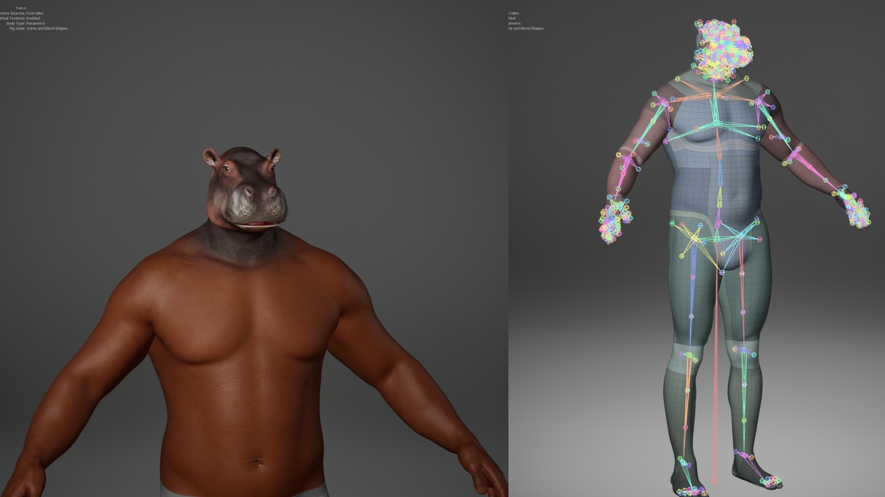 Media 1 for listing Metahuman Hippopotamus Character