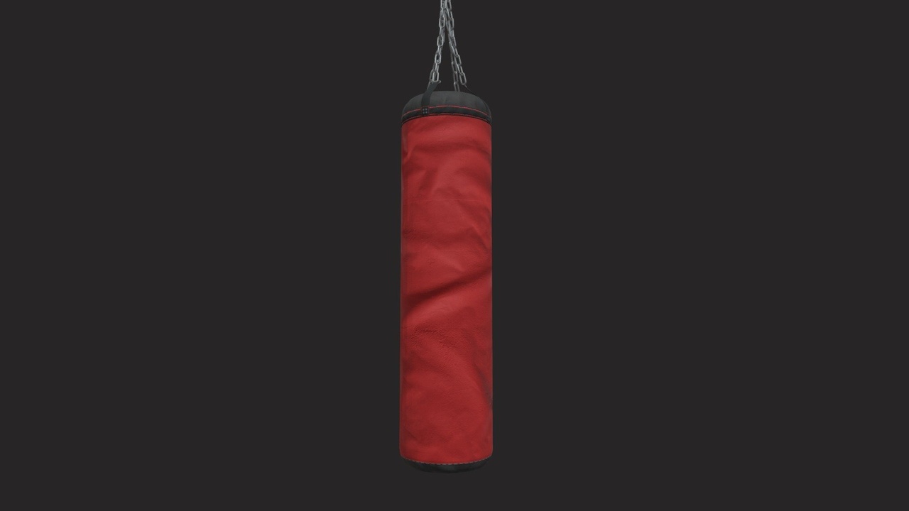 Media 1 for listing Punching Bag