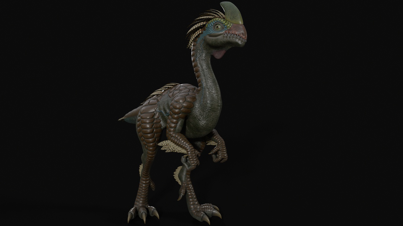 Media 1 for listing Raptor