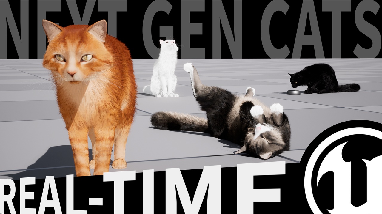 Media 1 for listing Next Gen Cat / Cats