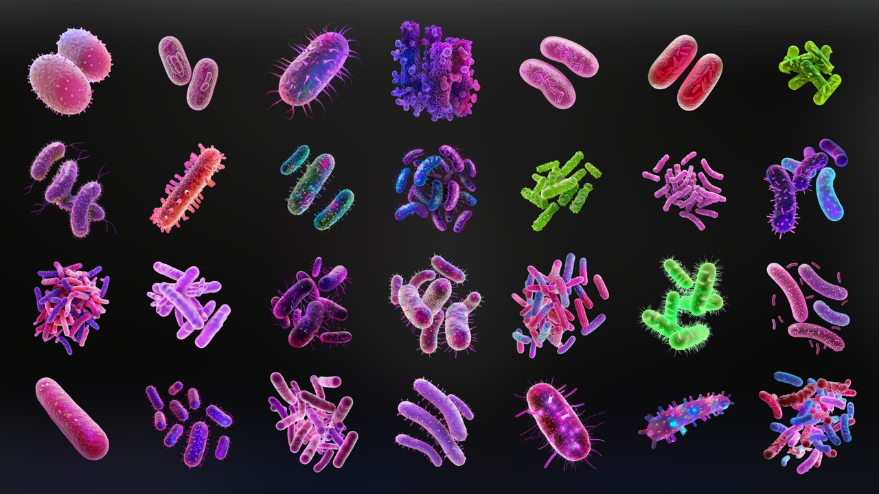 Media 1 for listing Bacteria - Icon pack