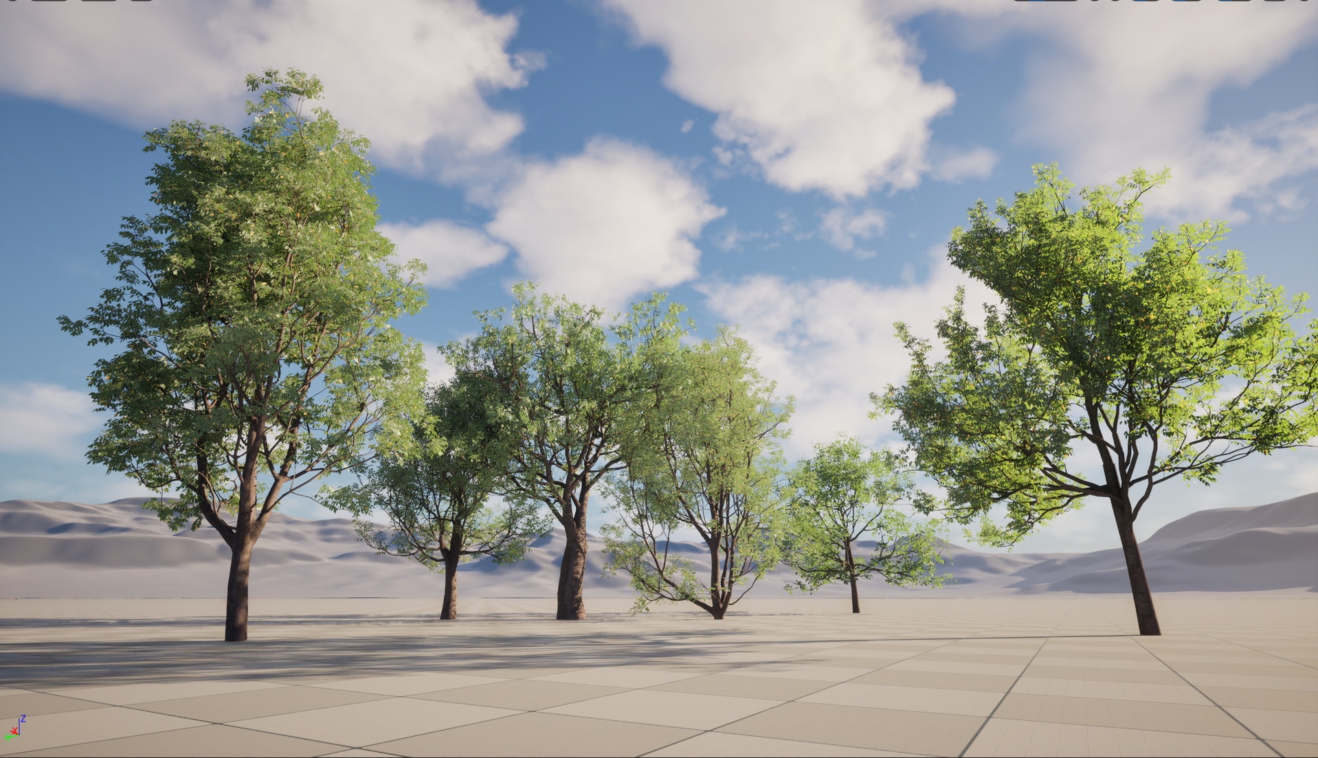 Media 1 for listing Nanite Wind Plants - Fraxinus ornus - flowering ash