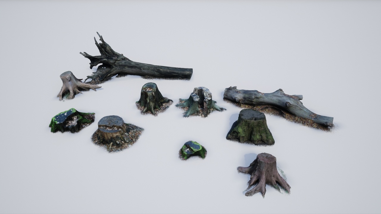 Media 1 for listing Photo-scanned Realistic Tree Stumps / Trunks
