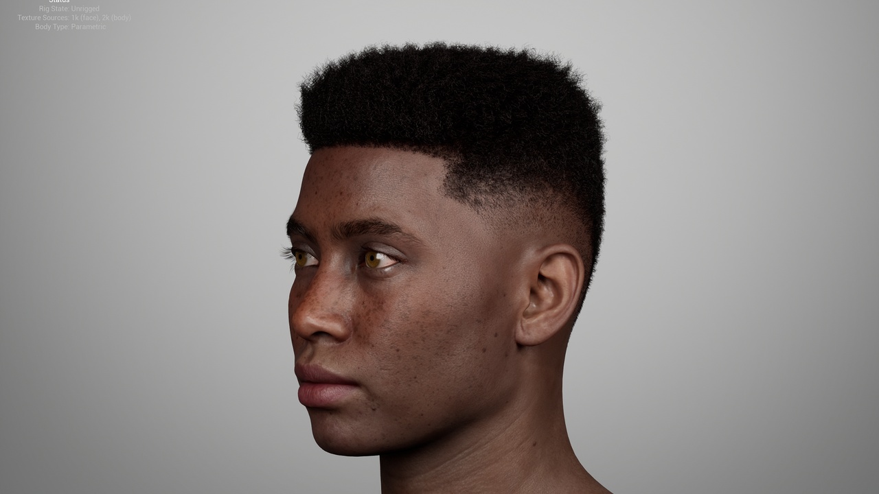 Media 1 for listing Coily High Top Box Fade – MetaHuman Groom