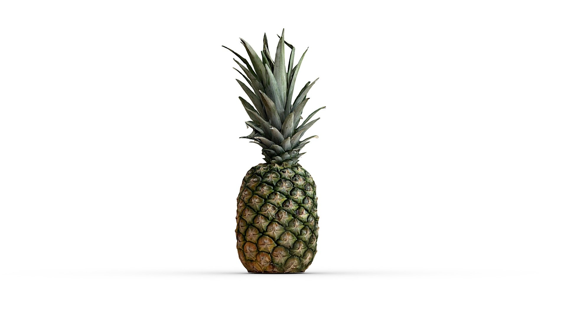 Pineapple | Fab
