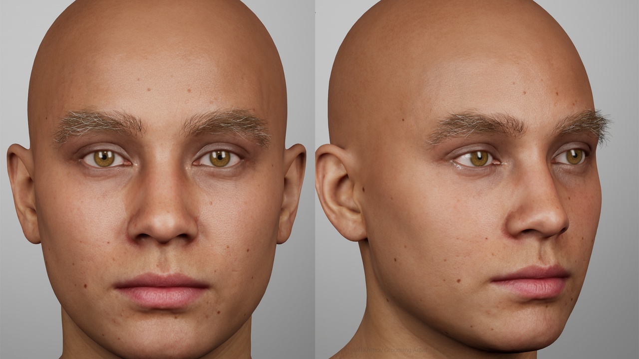 Media 1 for listing Aged Messy Male Eyebrows Groom for MetaHuman