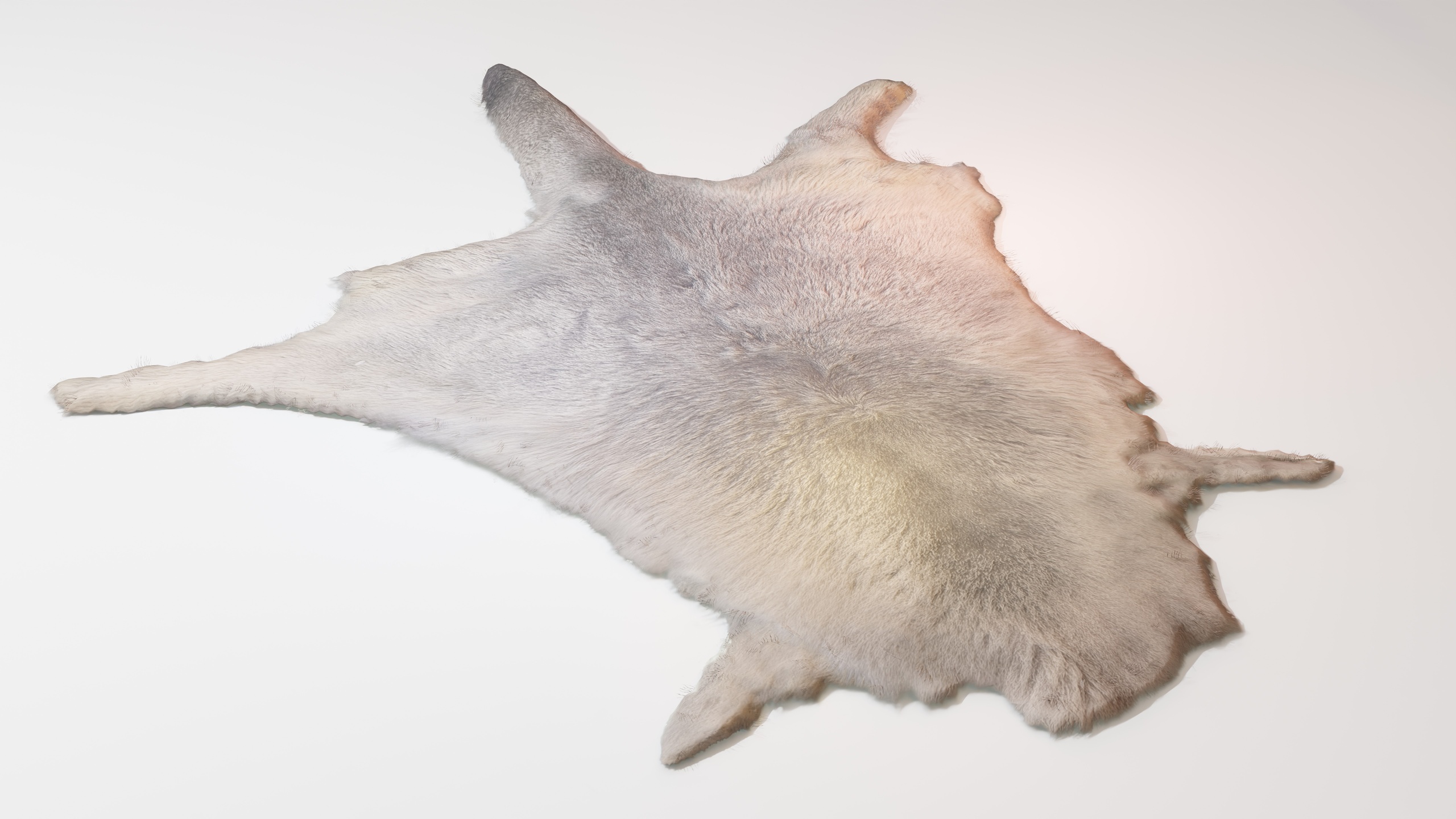 Media 1 for listing Kangaroo pelt hide fell rug carpet with hair cards 4k PBR