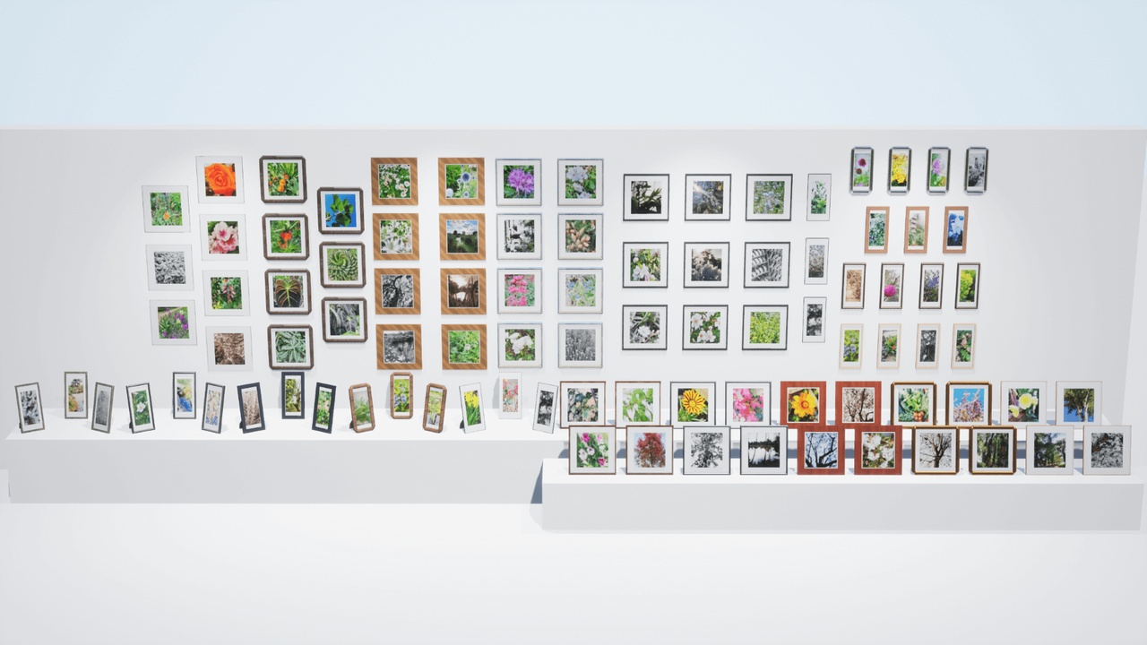 出品Nature Photo Framesのメディア1