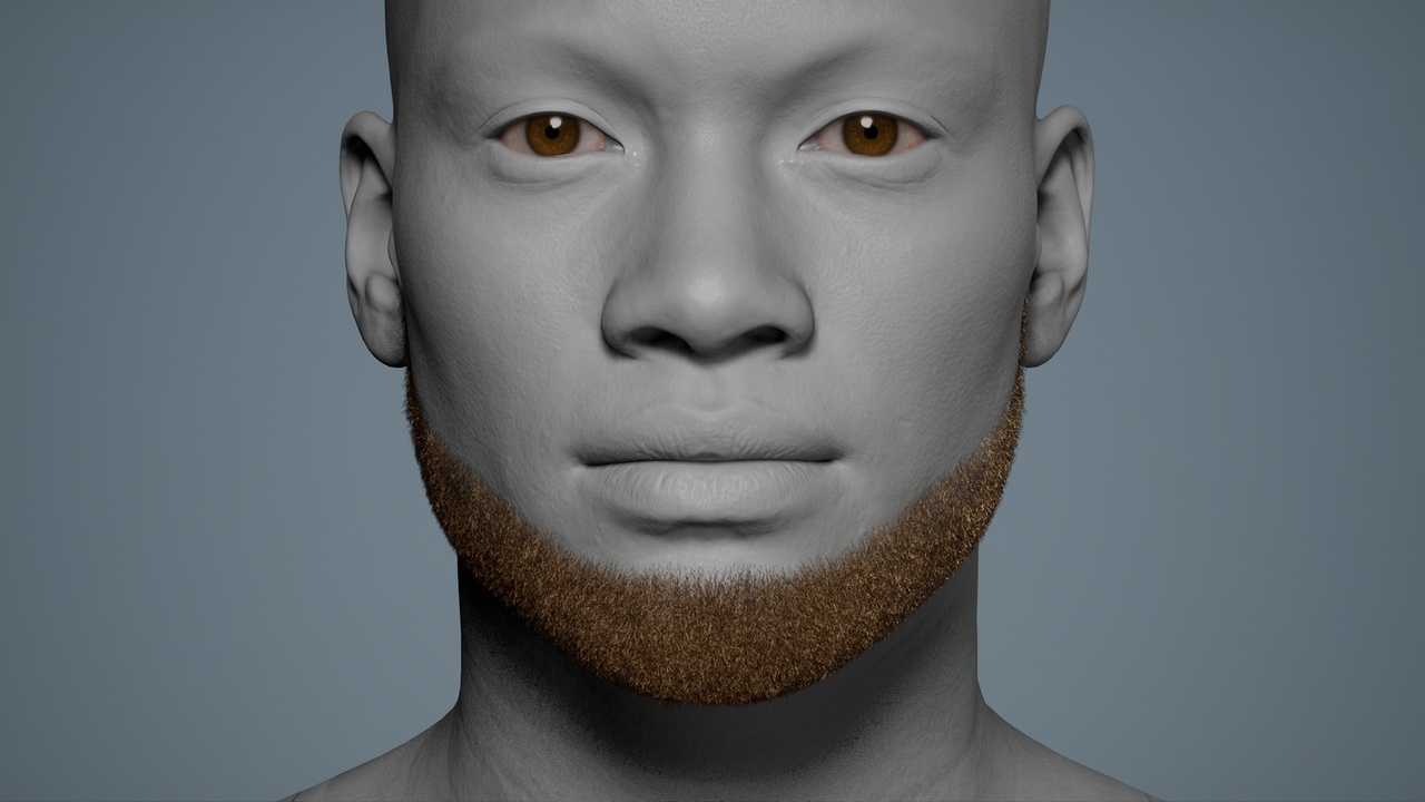 Media 1 for listing Short Curly 02 - MetaHuman Beard Groom