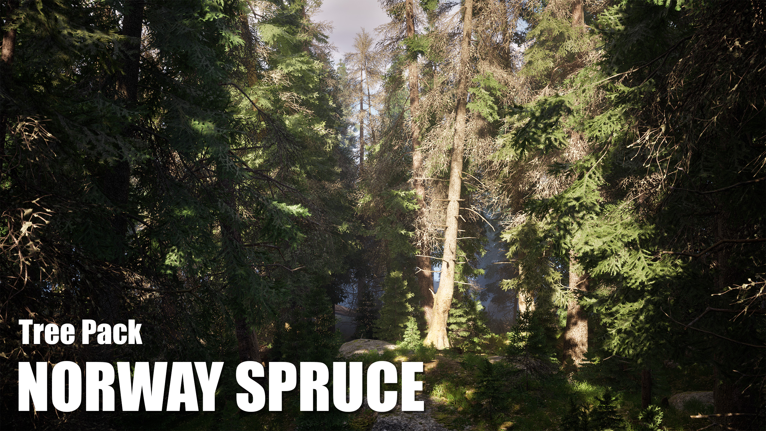 Norway Spruce Tree Pack | Fab