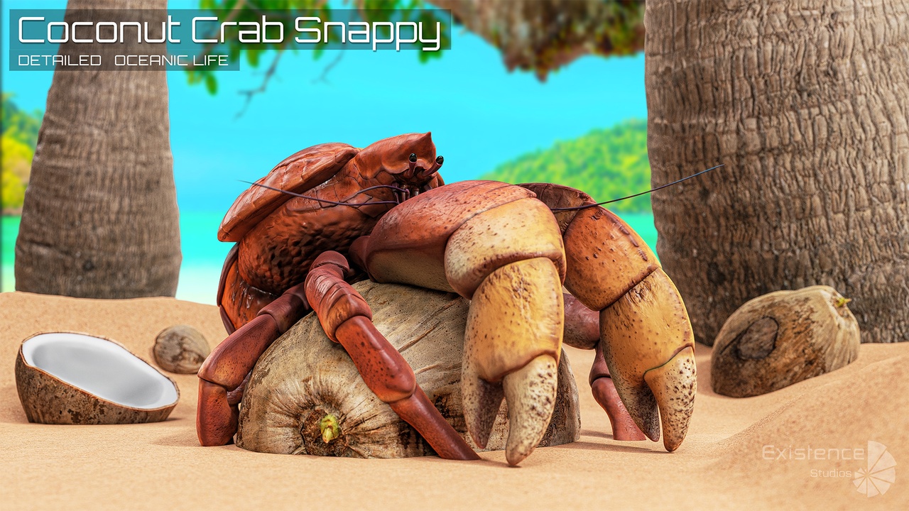 Media 1 for listing Coconut Crab - Snappy Palm Thief - Underwater Monster Shell Creature - #47