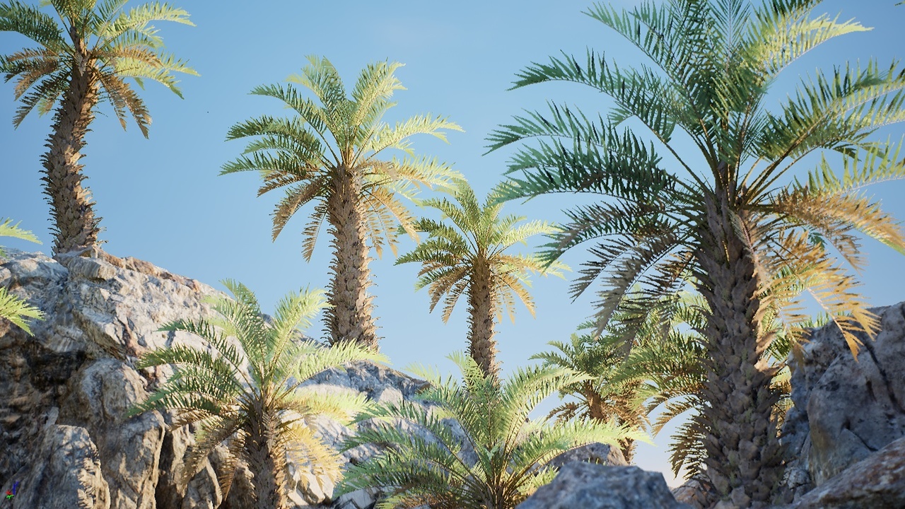 Media 1 for listing HighPoly Palm Tree 3