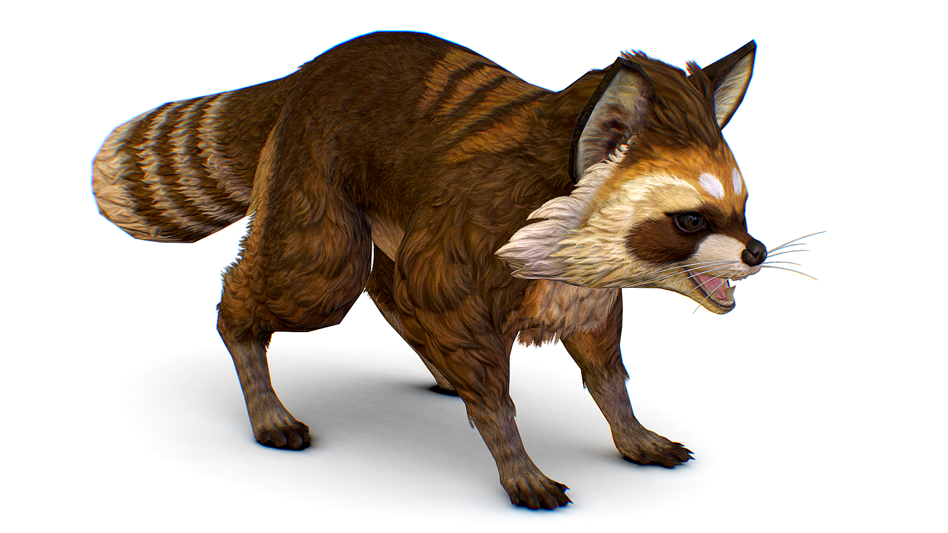 Red Raccoon Mouse Red Raccoon Procyon Animal Opossum Mammal Cat Wild Creature Character ...
